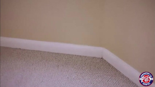 Упругая попочка брюнетки сама напрашивается на писюн